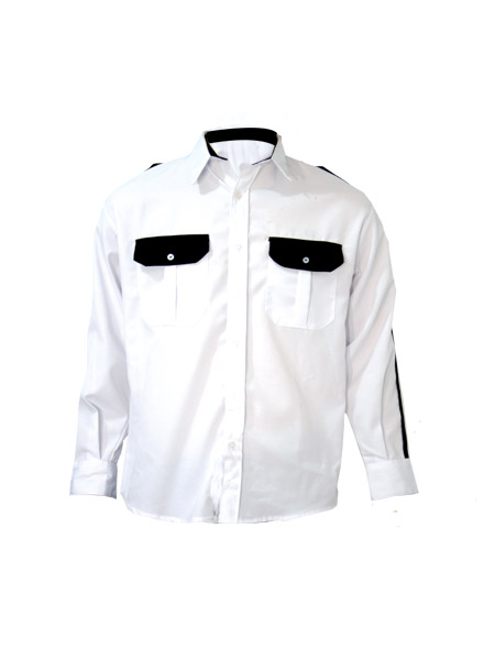 Portfolio Item 12